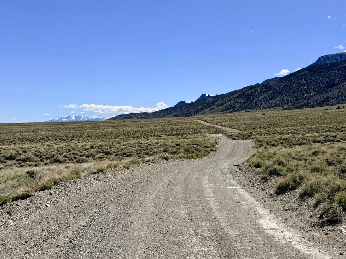 Broad Canyon Bypass FS43307A trail photo