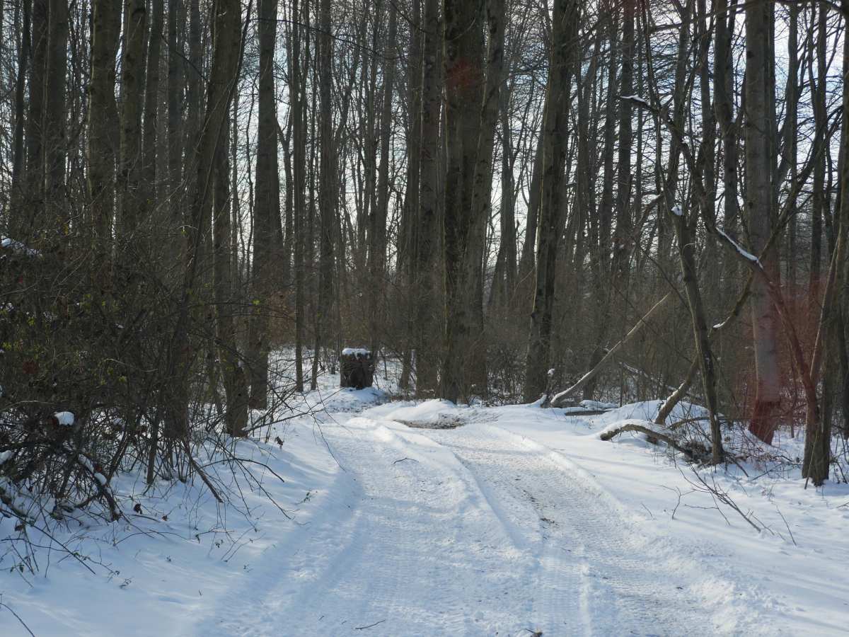 Trail 28 photo 5