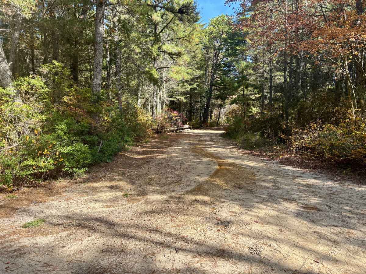 Dan's Bridge Road photo 2