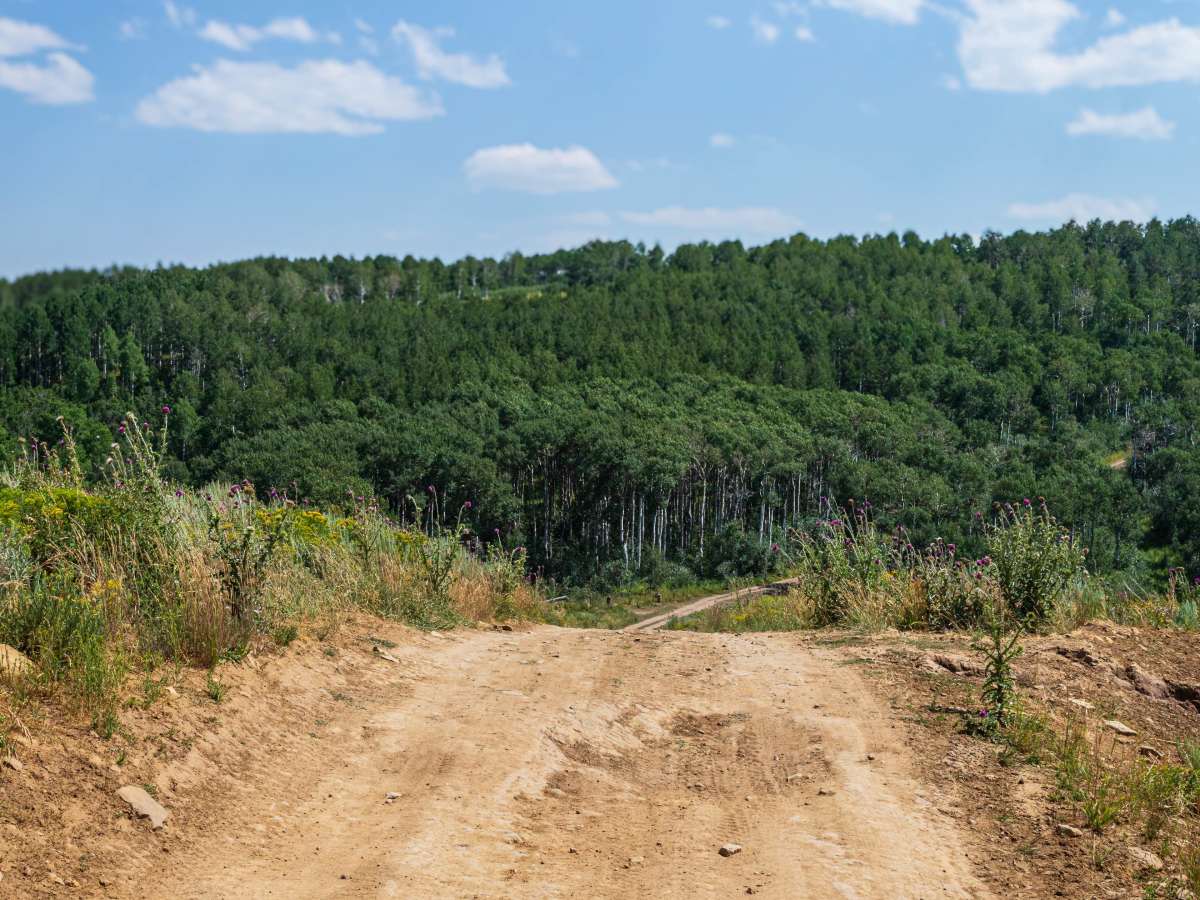 Strawberry Ridge - FS 70518 photo 3