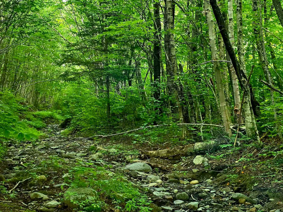 Mont des Castors trail photo