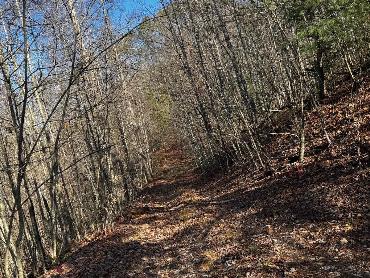 Boneyard Trail 2A Speedbump photo 5