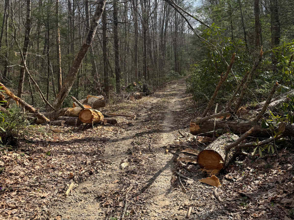 Quarter Branch Road trail photo