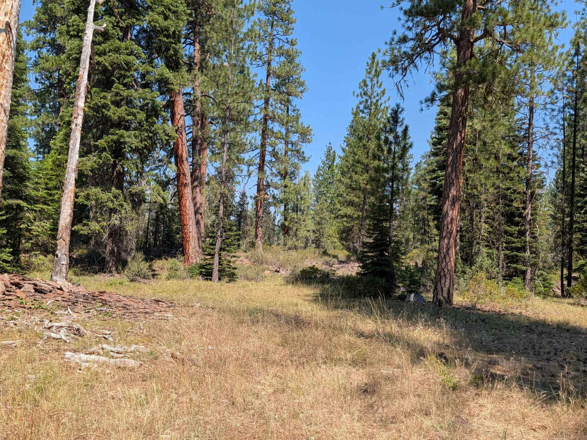 Porcupine Lake - FS 41N01 photo 3
