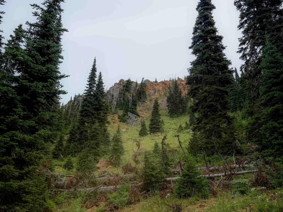 Elsnore Mine - Trail 1392.8  photo 5