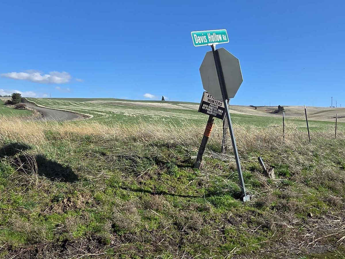 Davis Hollow Road trail photo