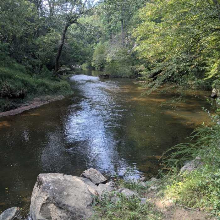 Near Riverside Preserve Loop Trail