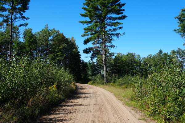 West Rollway Road