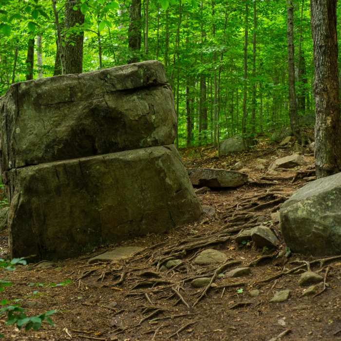 Near Echo Cliffs Near Echo Cliffs