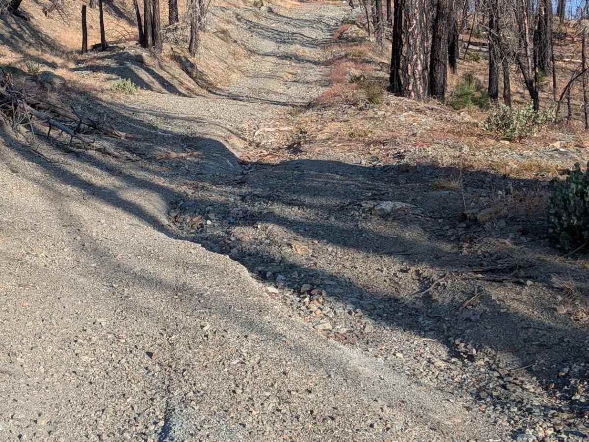 Red Mountain Motorway - FS 29N73  trail photo