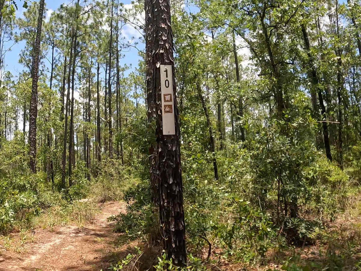 FS 10 trail photo