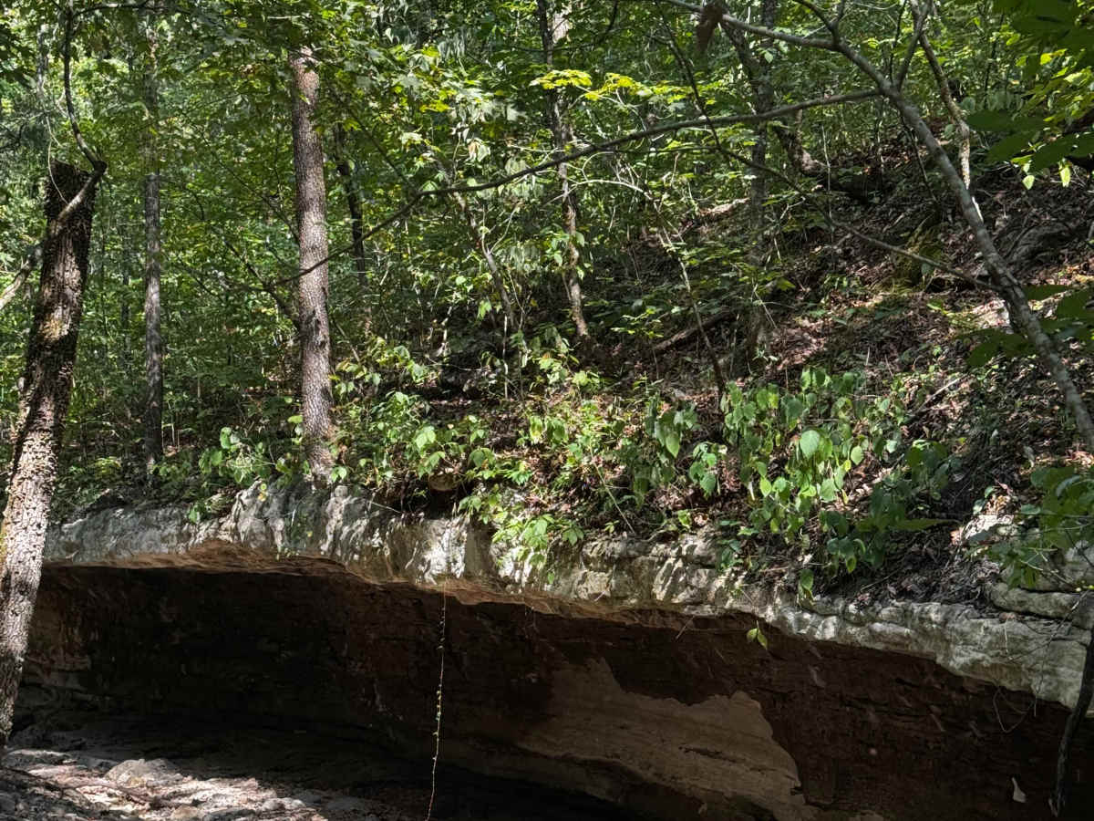 Little Johnny's Adventure photo 5