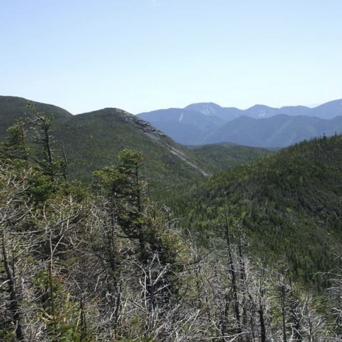 Near Mount Redfield Near Mount Redfield