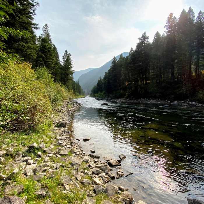 Near Gallatin River Trail #137