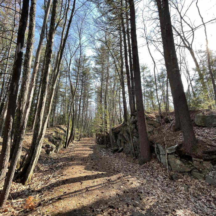 Near B&M Trail