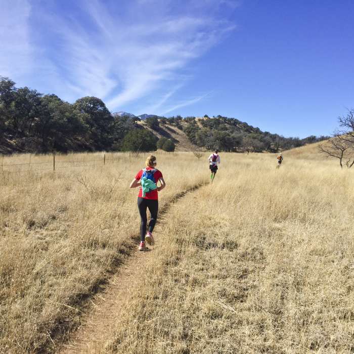 Near AZT - Passage 5 - Santa Rita Mountains