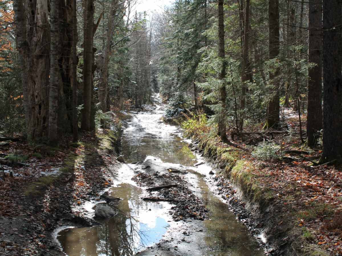 Woodbury Mountain Road photo 6
