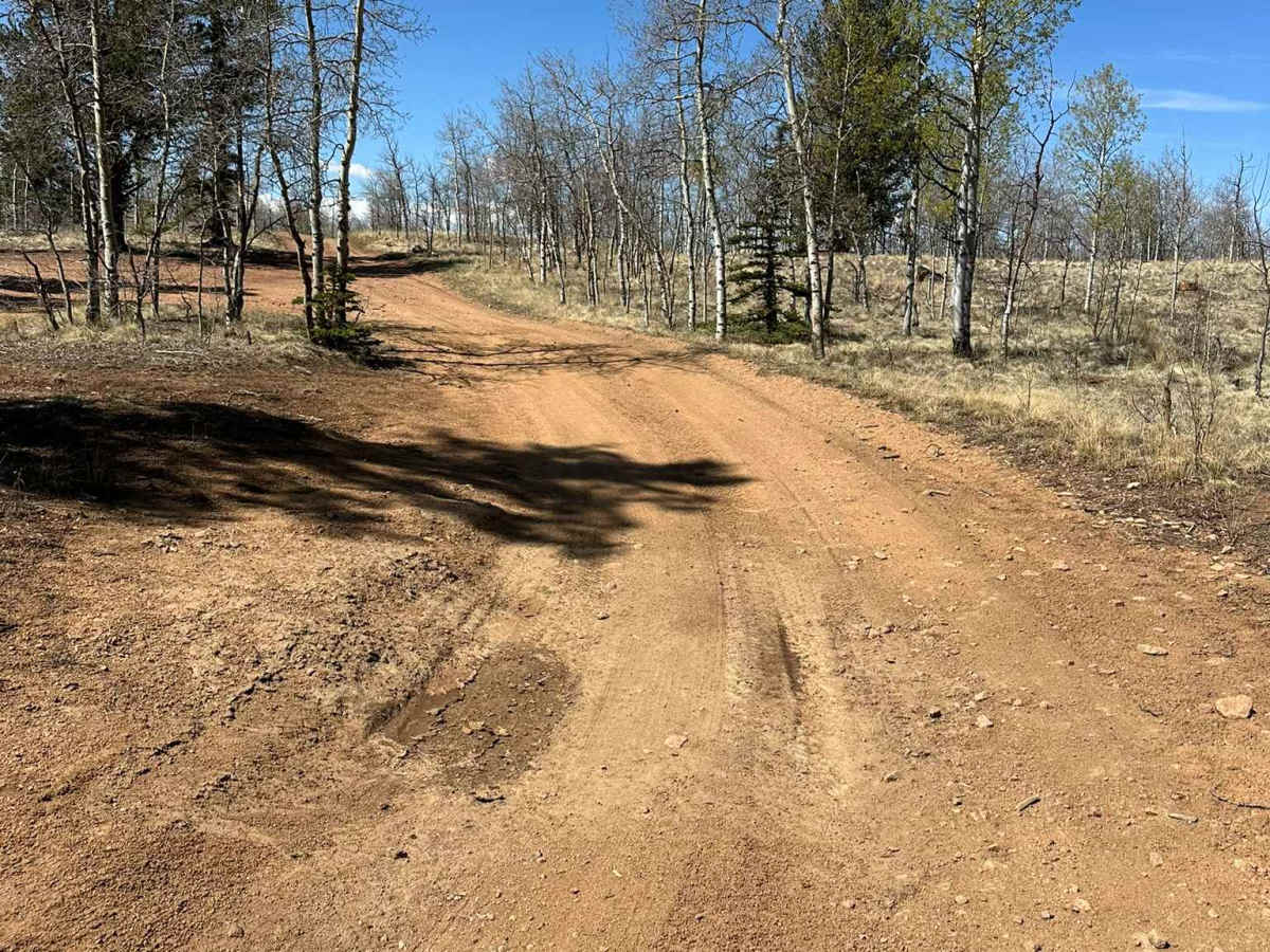 Pearl Road photo 2