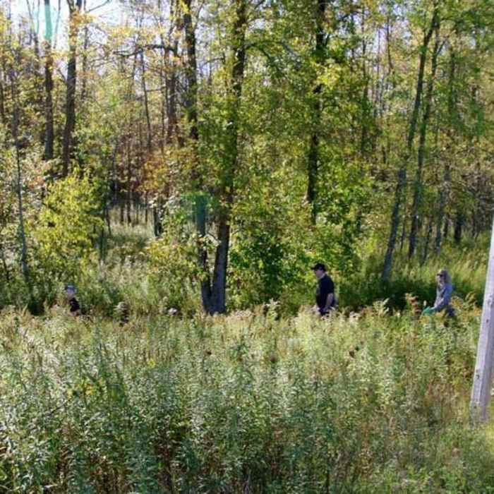 Near Ice Age Trail: Kettle Moraine Northern Unit/Cty Rd H to Mauthe Lake