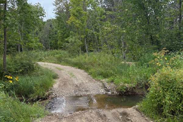 Old Many Point Trail