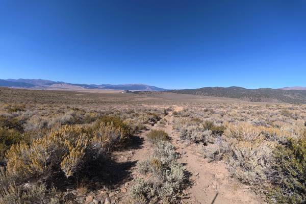 Dog Creek West
