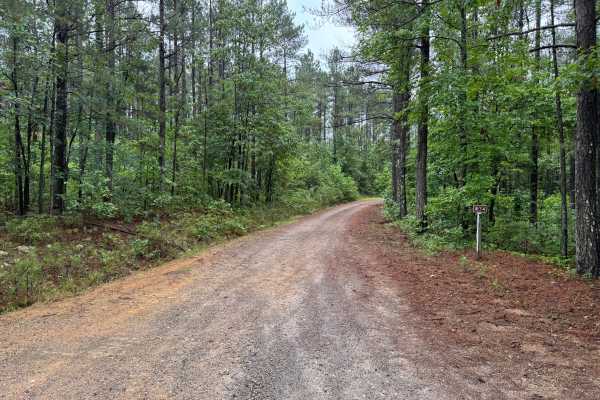 Deer Camp Pier