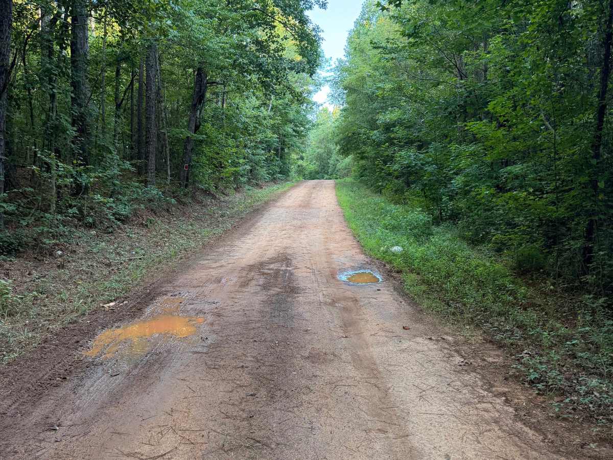 Turkey Trail photo 4