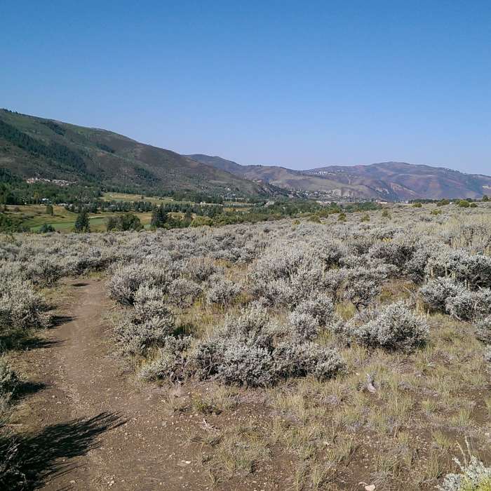 Near Avon Singletree Connector (ASC)