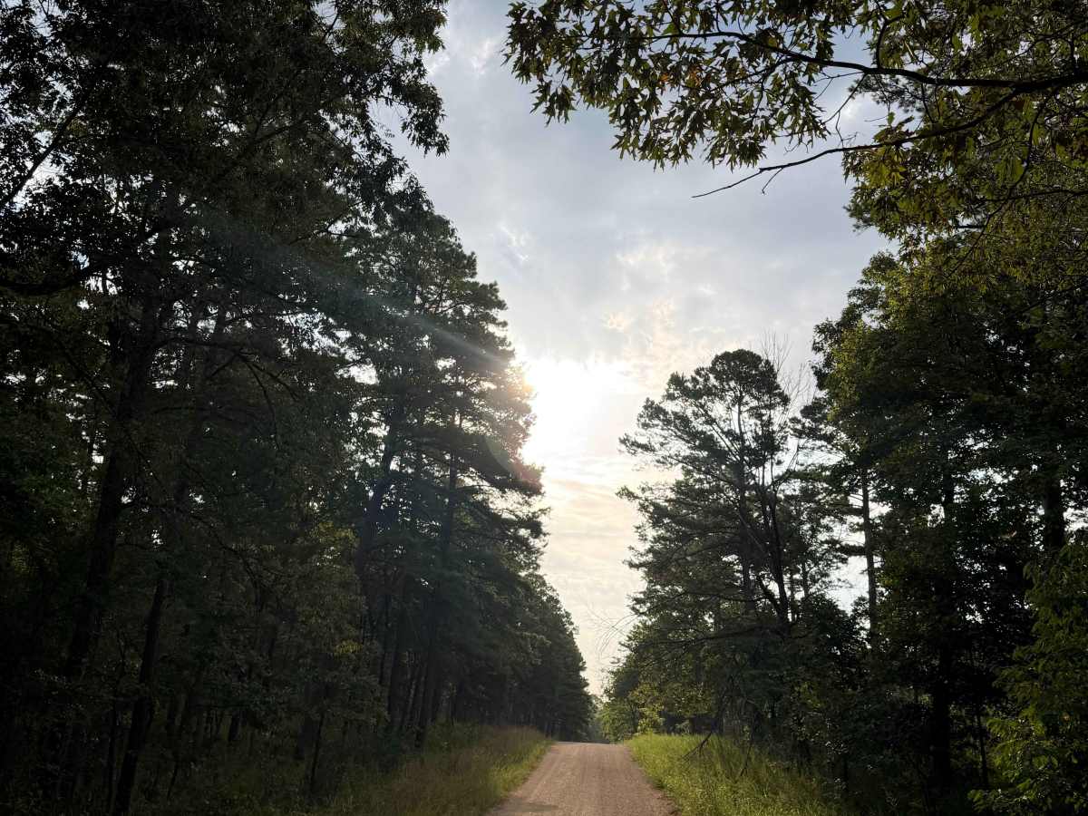 Hyden Road trail photo
