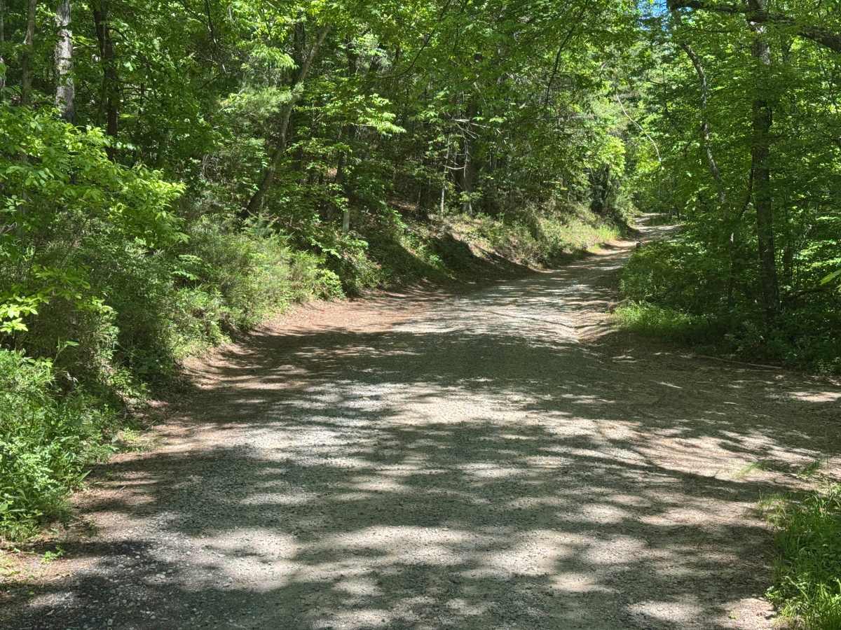Peter Knob - FS 339 trail photo