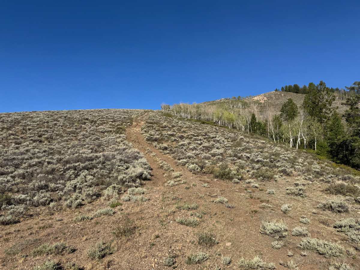 BLM 3102B photo 4