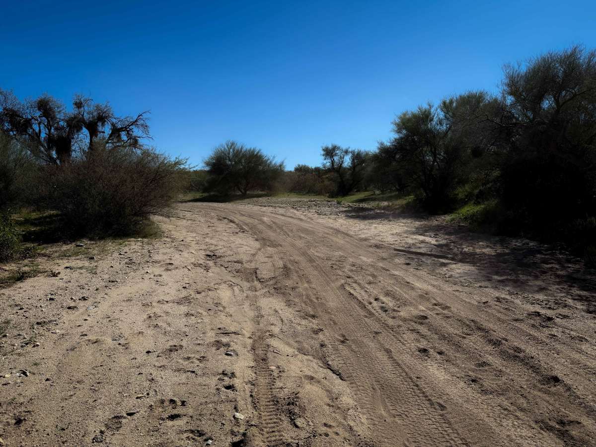 M0775 photo 3