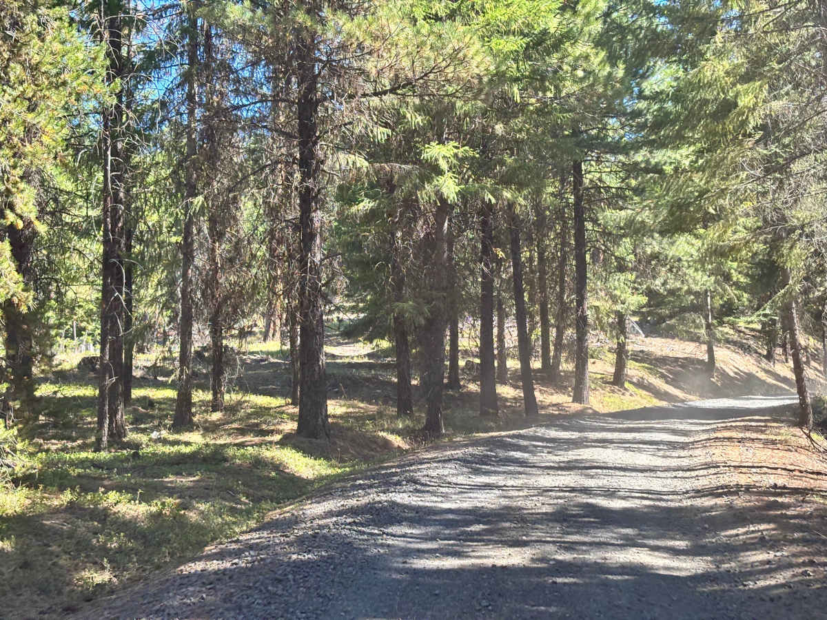 Quartz Meadows photo 6
