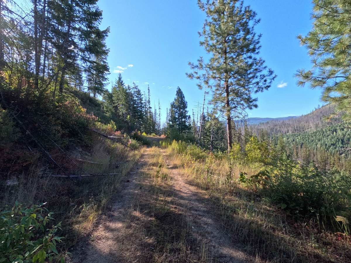 Klahowya Creek J - FS 1075J photo 5
