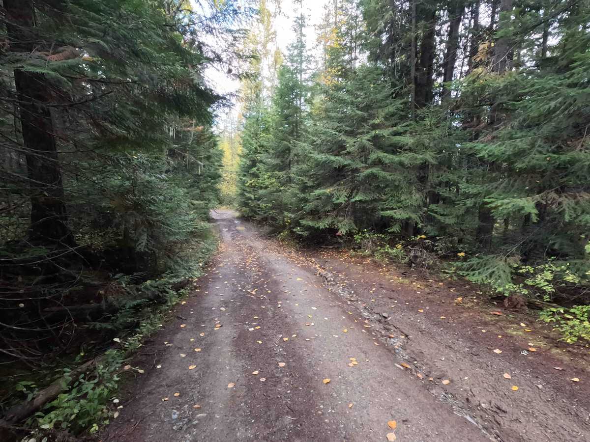 FS 9400510, Washington | Off-Road Trail Maps, Difficulty, Trail Status ...