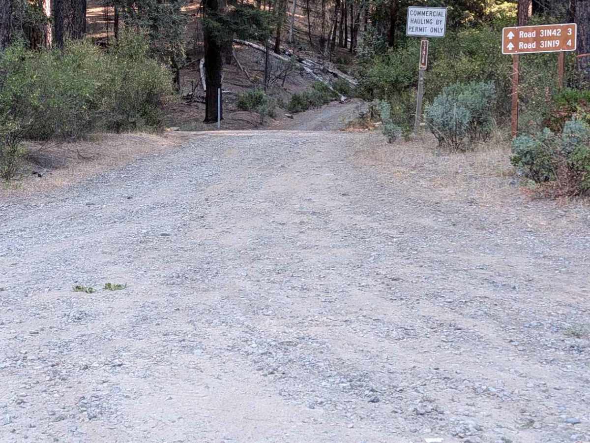 Goods Gulch Road - FS 31N38 trail photo