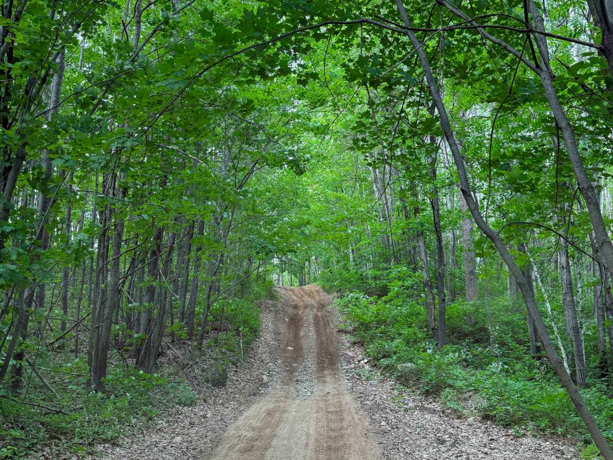 Spider Lake Trails photo 5