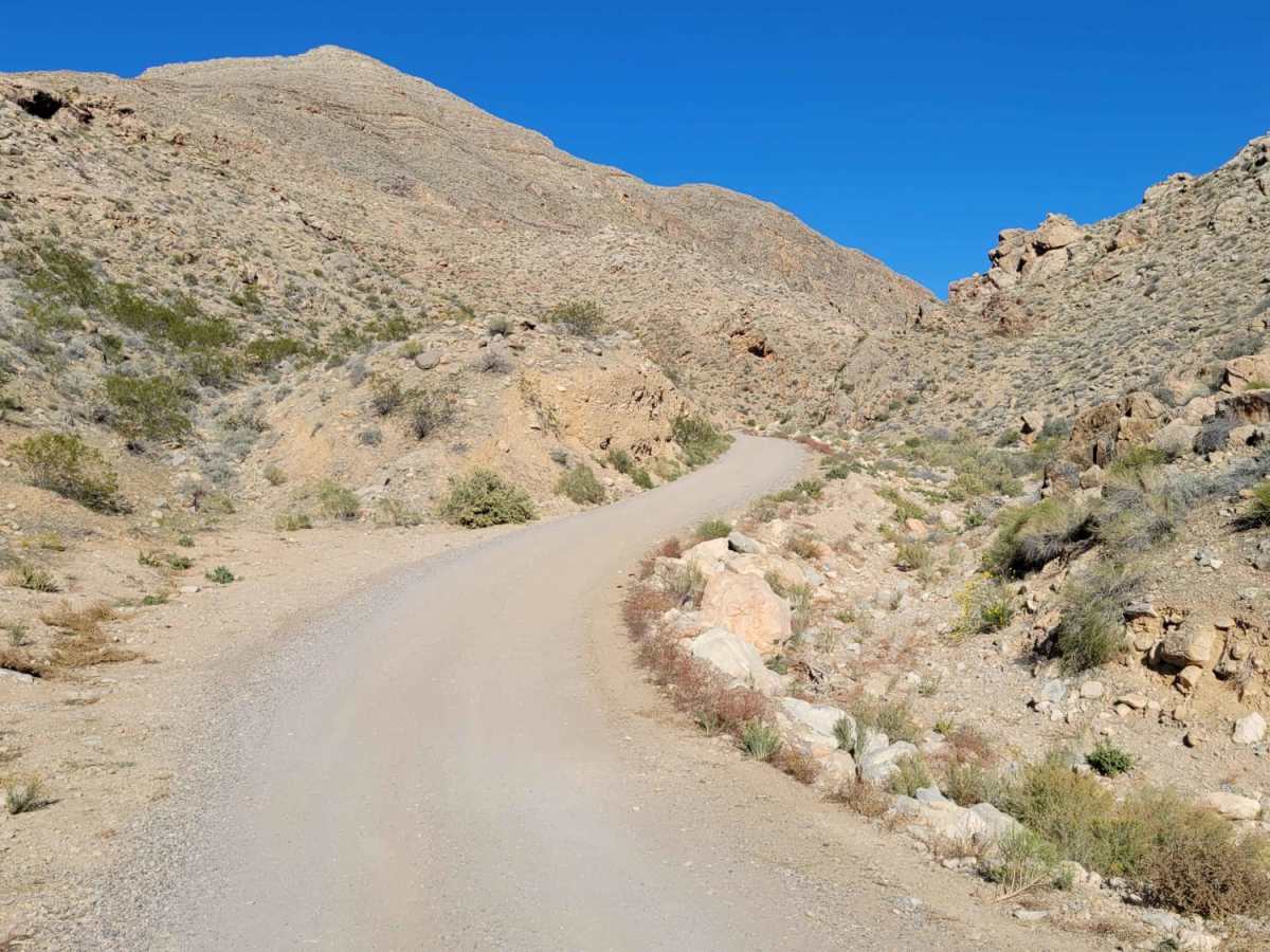 Cedar Pocket Road photo 3
