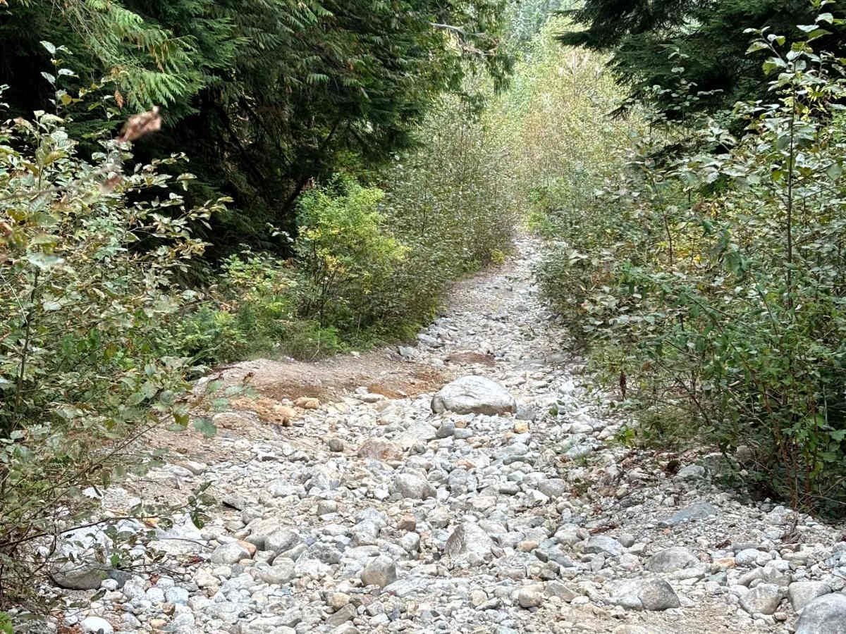 Margaret Creek Pass trail photo