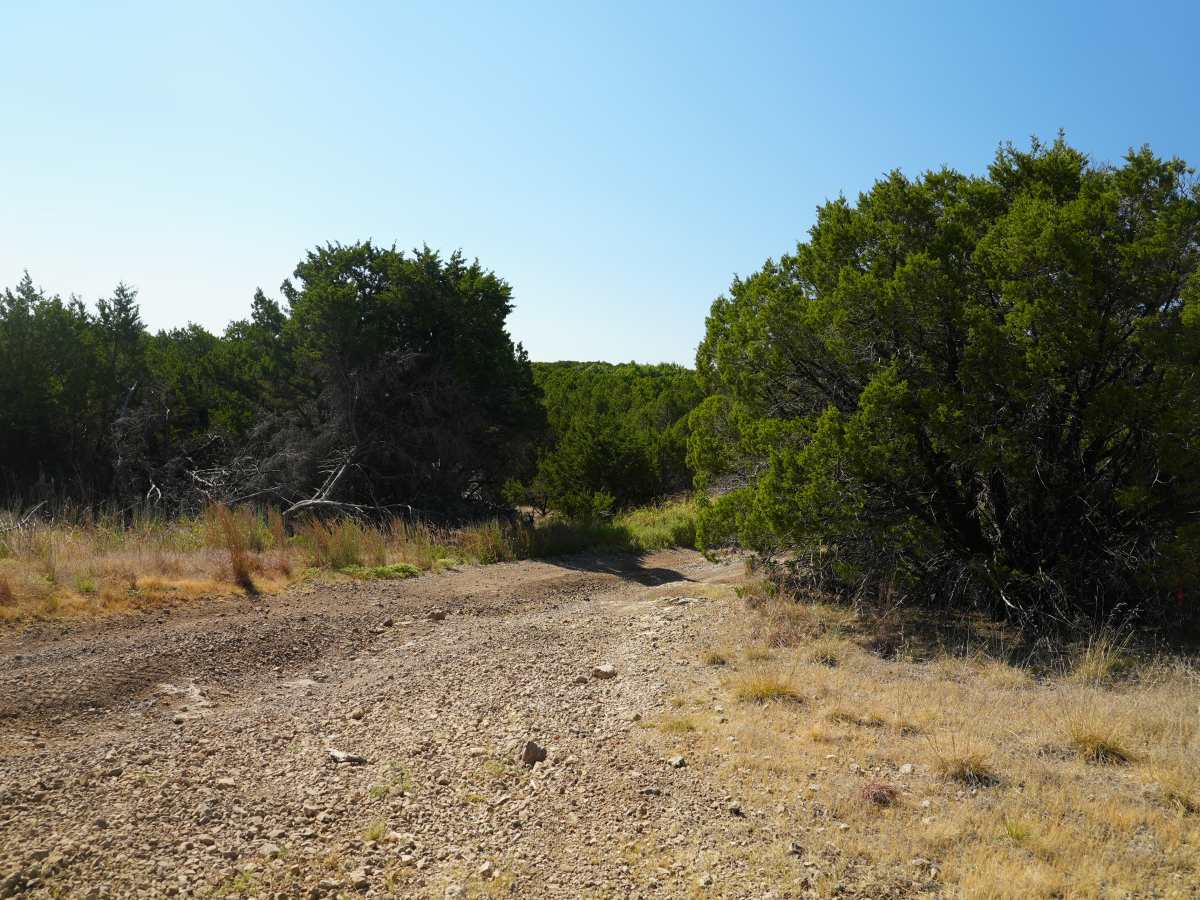 Blue 16 photo 6