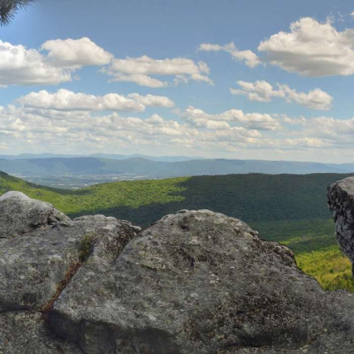 Near Greatest Hits of the Great North Mountain Trails