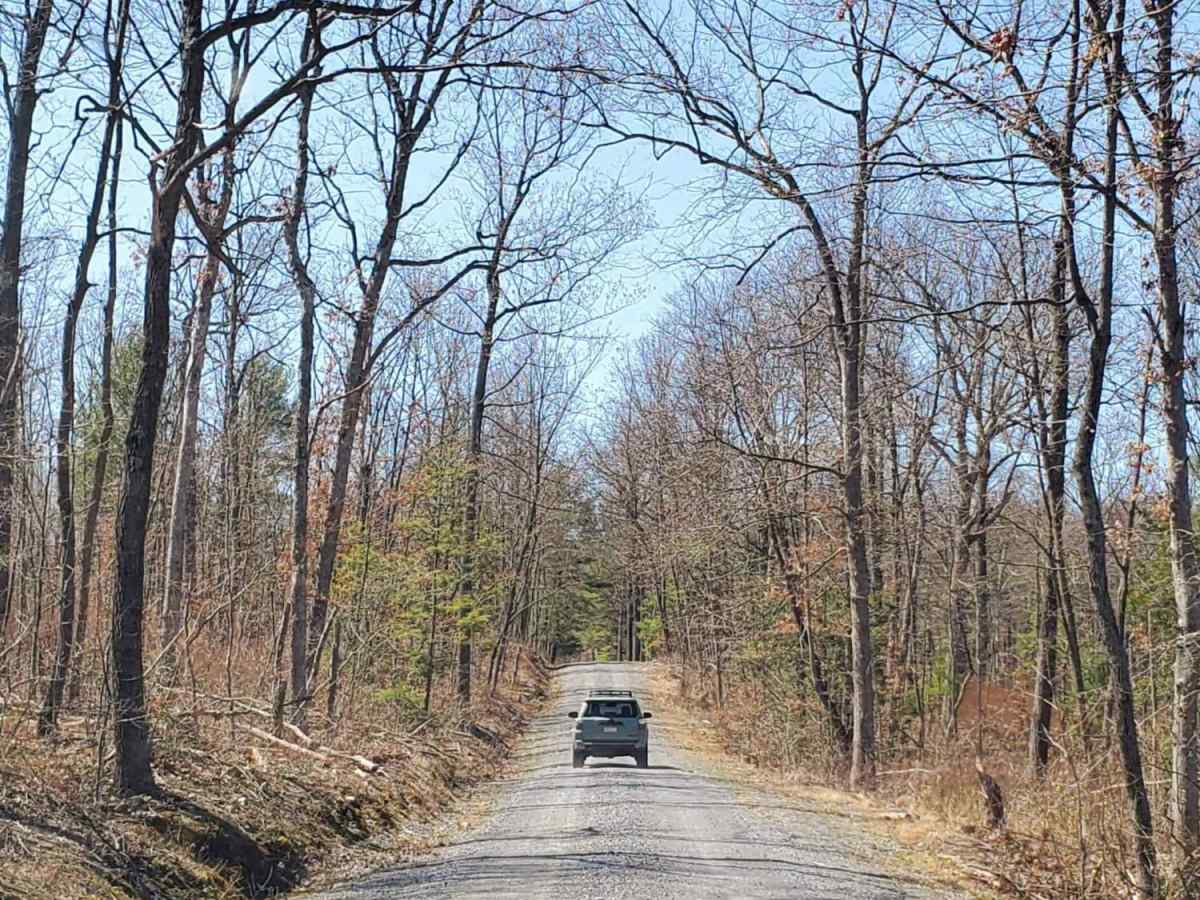 Hemlock Road photo 5