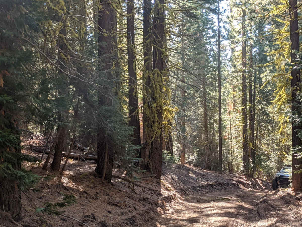 Happy Valley Ridgeline photo 3