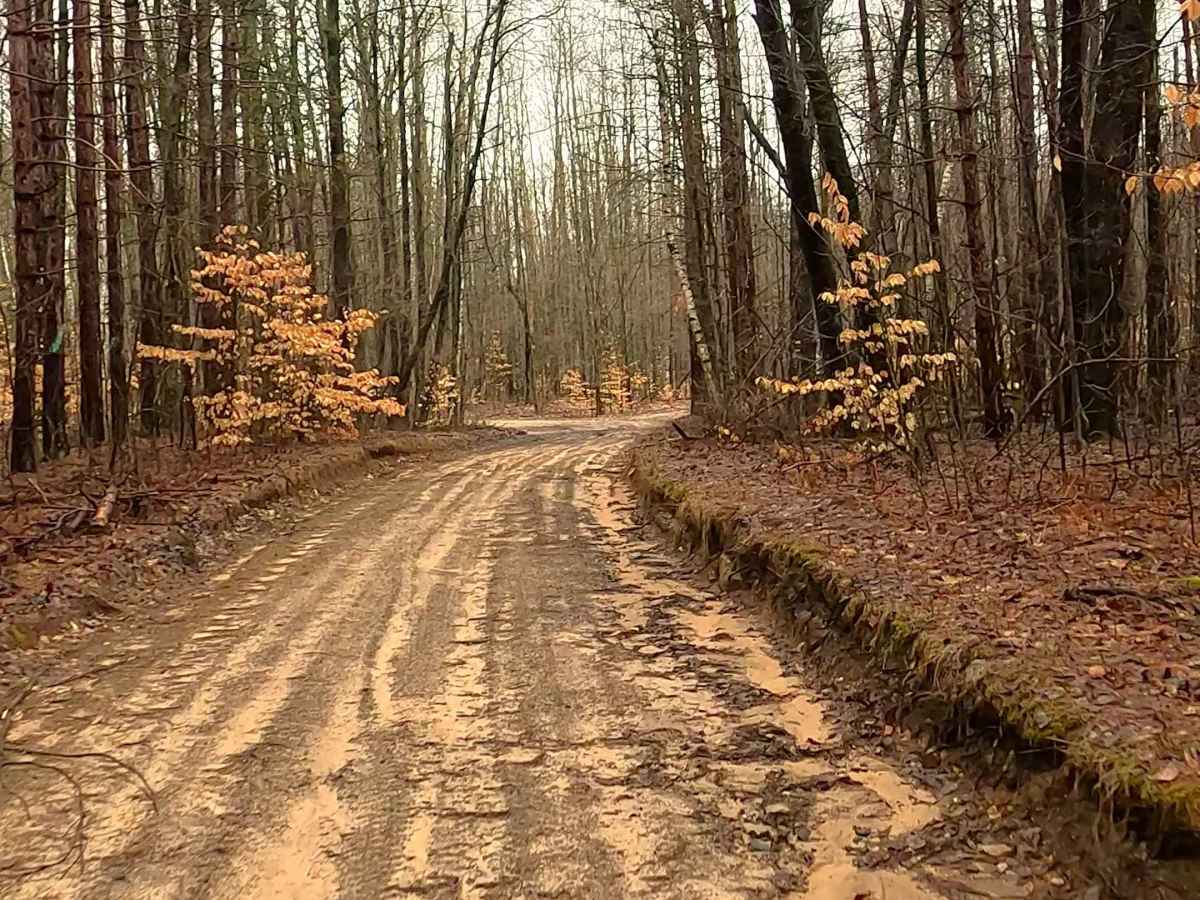 ORV H-57 5 & 8 : Mack- Maltby Hills Loop Trail photo 2
