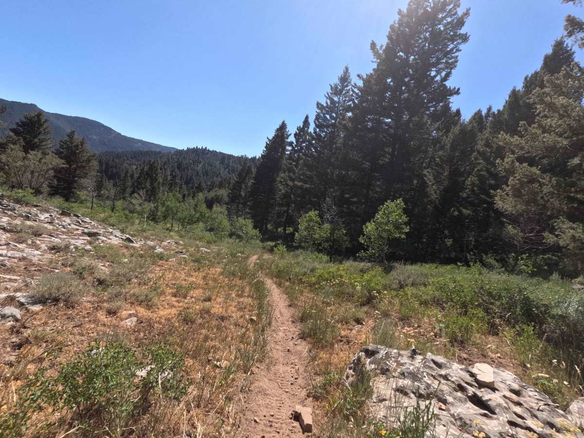 Davis Canyon trail photo