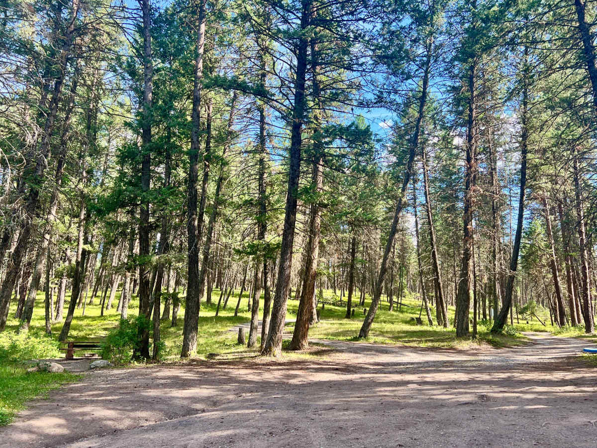Loon Lake Recreation Area Trail photo 5