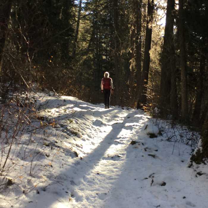 Get there in the morning and you'll get some great sunbeams through the trees! Near Pine Creek Falls