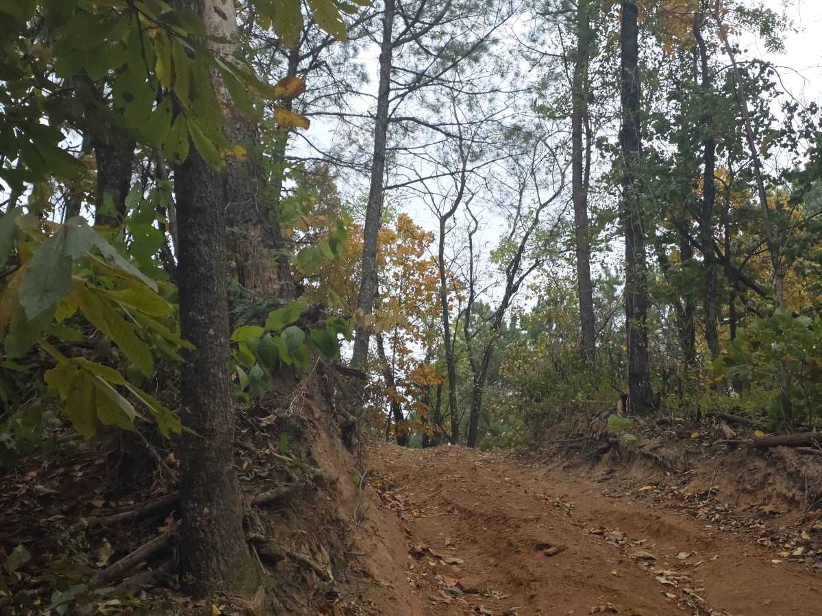 Send It Hollow photo 5
