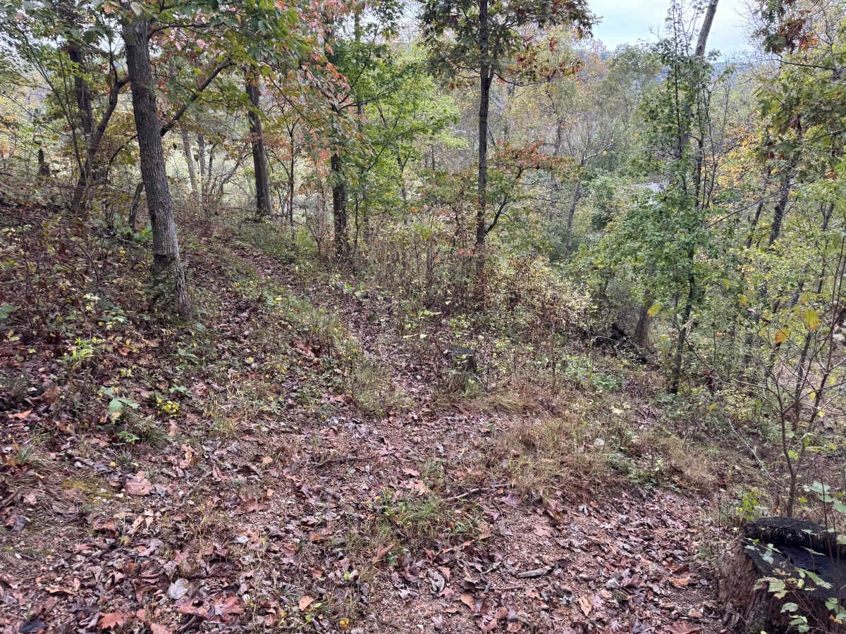 Top ‘O the Hill trail photo