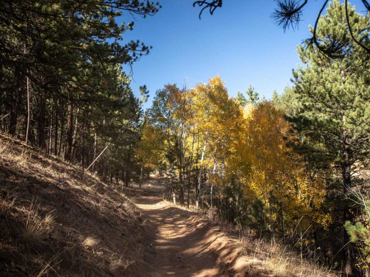Trout Creek (FS 649) photo 6
